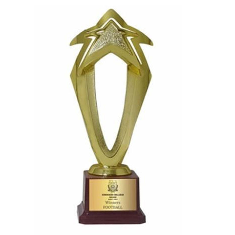 Star 3D Trophy