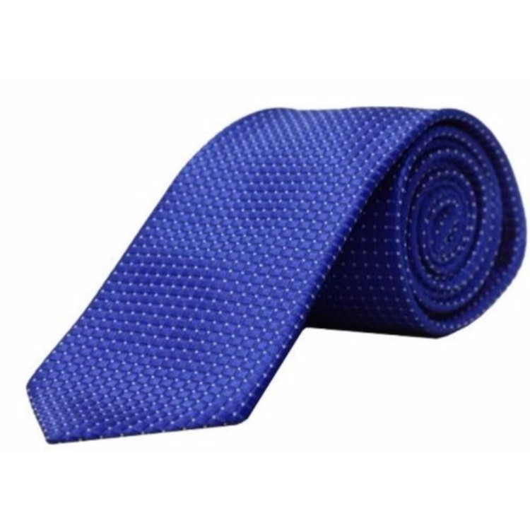 Blackberry Blue Tie