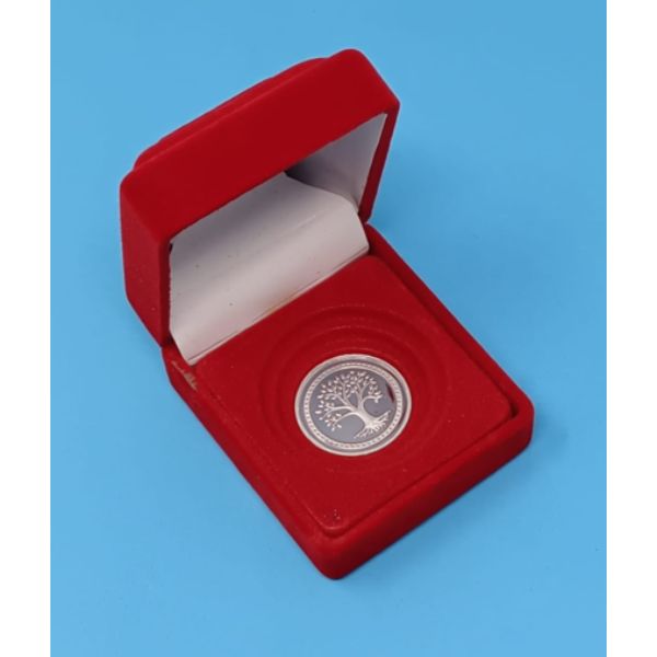 Silver Coin with Red Box