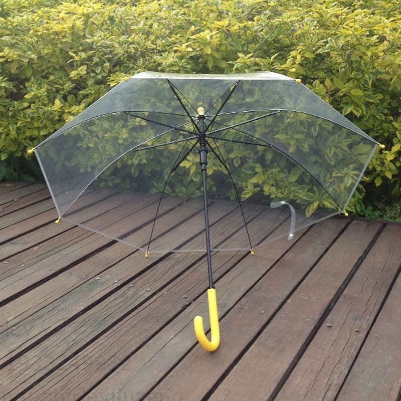 Straight 6 Panel Transparent Umbrella