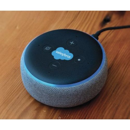 Echo Dot with Custom Logo - Corporate Gifting